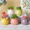 Siawadeky Cute Flower Set of Stylish Succulent Macaron Ceramic Planter Round Cactus Suitable for Mini Garden Drainage Hole Included Pots, 6, Pots,
