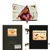 Dinosaur Encyclopedia 3d Paper Book For Prehistoric Animal Learning And Gift