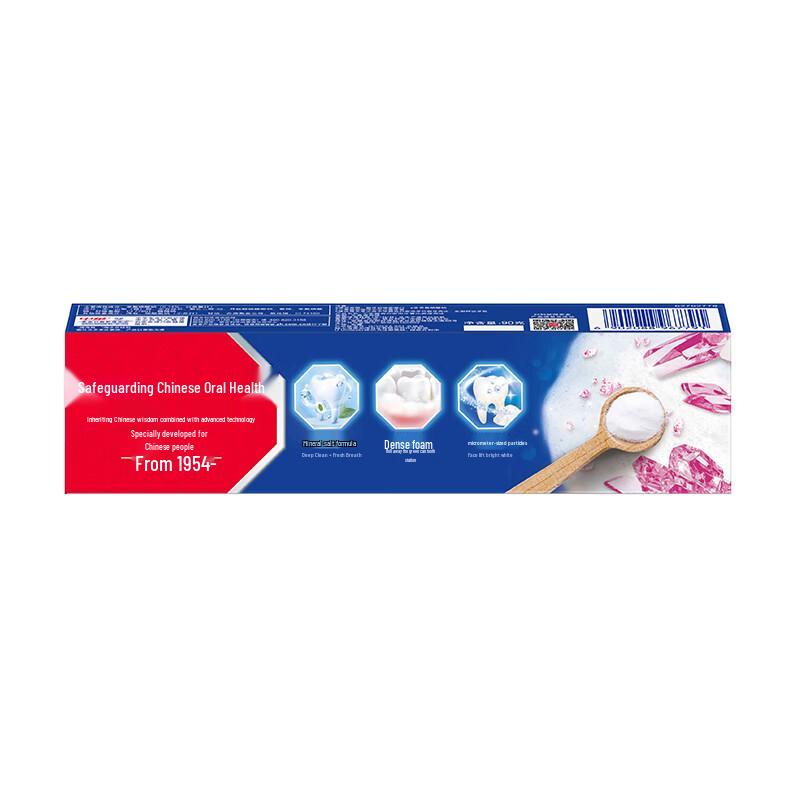 Zhonghua Healthy White Sea Salt Mint Toothpaste