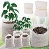 100Pcs Non Woven Nursery Bags Gardening Seedling Growing Bag Flower Plant Vegetable Seedling Cultivation Planter Ventilate Bags
