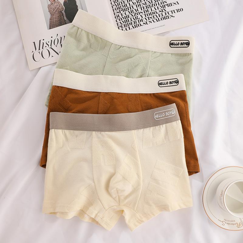 Calzoncillos tipo bóxer de algodón para hombre, paquete de 3, ropa interior sexy transpirable para hombre, cintura elástica, pantalones cortos suaves con soporte 3D