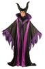 Magnificent Witch Costume for A Magnificent Witch Costume for Women. Women. Halloween. Size Large.