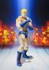 TAMASHII NATIONS Kinnikuman Terryman approximately 150mm painted movable figure S.H.Figuarts PVC&ABS