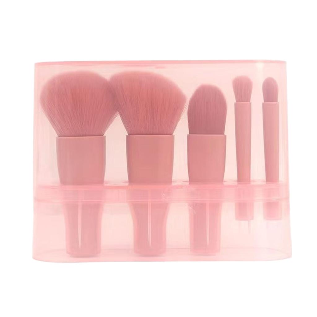 Makeup Brush Set 5 Pcs Professional Travel Small Makeup Brushes with Brush Case, Cosmetics Brushes for Foundation, Eyeshadow, Powder, Blush Brush Kit