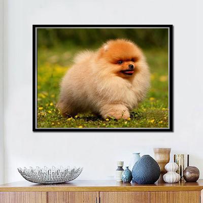 Diy Diamantová malba Křížkovým stehem Pes Pomeranian Vyšívání 5d Plná kruhová mozaika Diamantové vyšívání