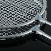 Double Fish Guldvinge Badmintonracket Parset