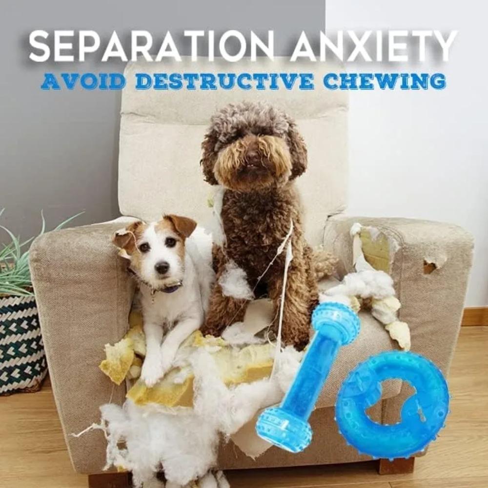 Summer Dog Chew Toys Teething Balls Durable Frozen Puppy Rubber Bone Toys Teeth Cleaning Bones Chewing Training Pet Supplies