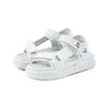 Sports Sandals Kids Sports Sandals AL5303 Gray Cm [Arnold Palmer] (006) 20.0
