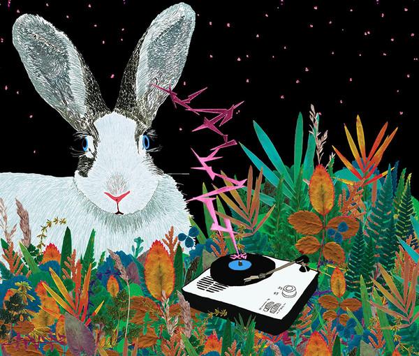 

CD KENJI OZAWA - Warera, Toki&emsp TYCT60031 Universal 2014 Japan Japanese Pop/Rock Used