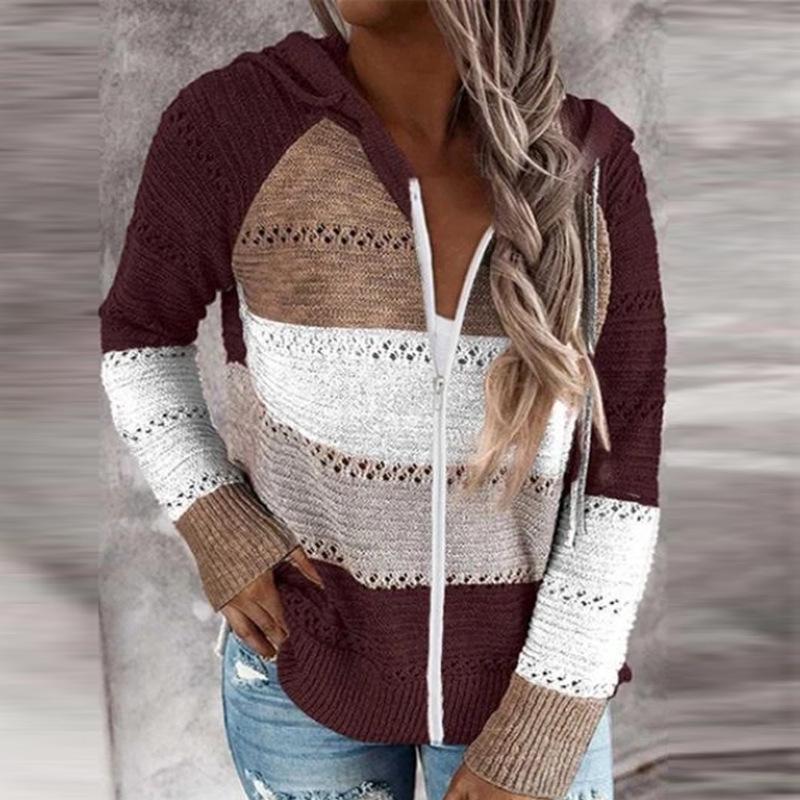 2025 Autumn & Winter Hooded Zipper Long Sleeve Sweater