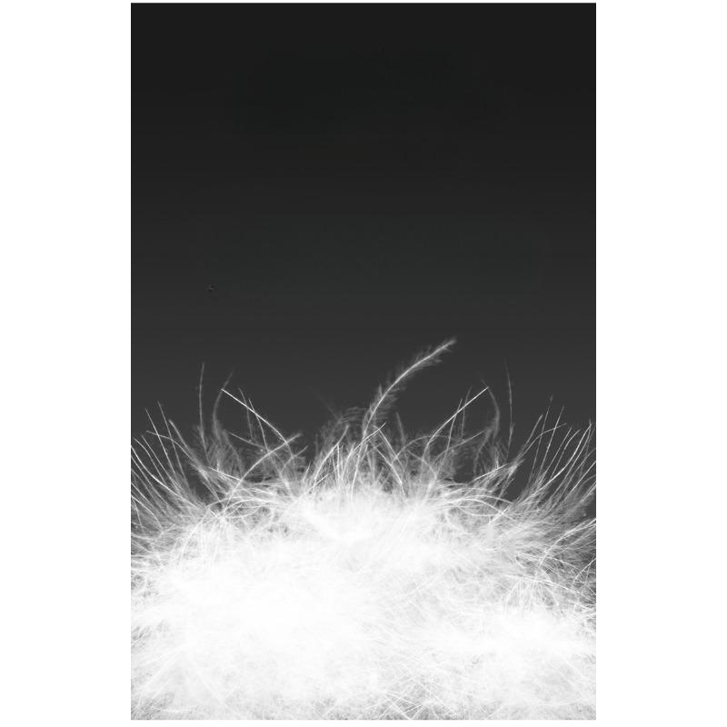 One-Wear Weiße Entendaunenjacke für Herren, herausnehmbares Innenfutter, einfache, lässige, warme Winterjacke für junge und mittlere Menschen