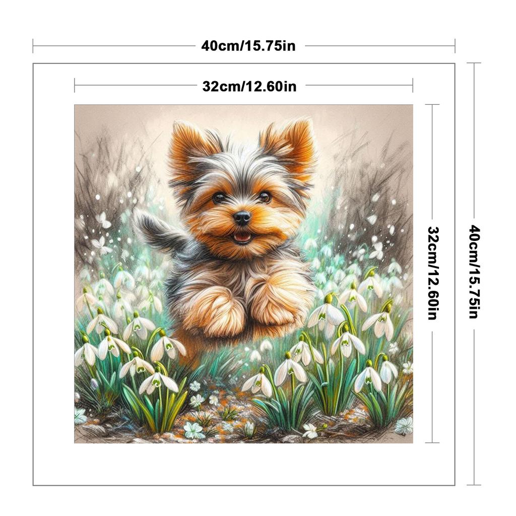 Animal Full 11CT DIY Stamped Printed Cross-Stitch Kits 15.75x15.75in Cross Stitch Art and Crafts Kits for Adults Home Decor