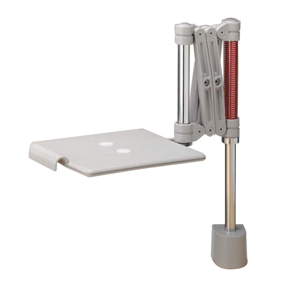 

Lion Office Equipment Telephone Arm Short Clamp Mount Stand, Type, FA-TP2,