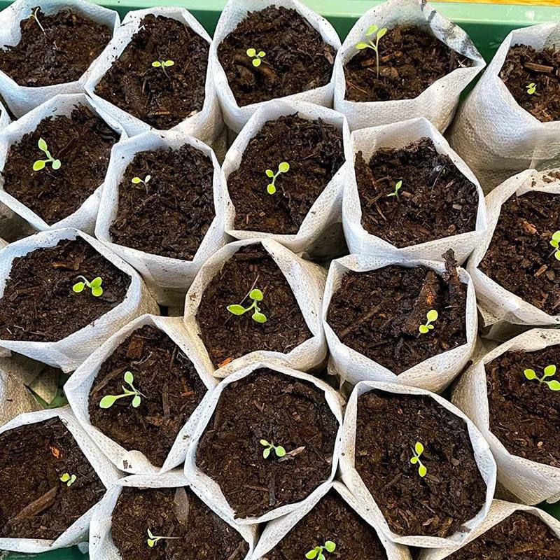 8X10Cm 100Pcs Biodegradable Seed Nursery Bags, Non-Woven Plants Growbags, Fabric Seedling Pots Plants Pouch, Home Garden Supply