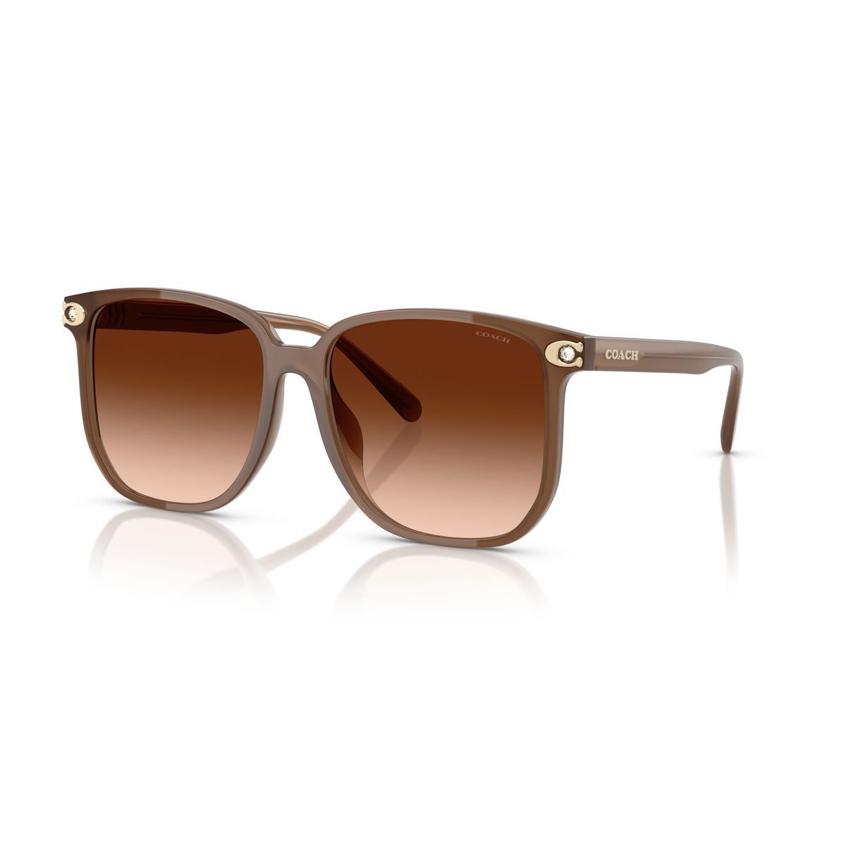 COACH Fashionable Versatile Square Sunglasses Unisex sunglasses 0HC8413BD-58087458 Eyeglass Case+Eyeglass Cloth
