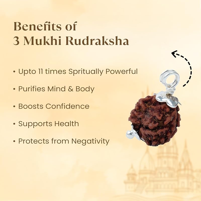 Astrotalk Nepal Origin 3 Mukhi Rudraksha with SilverCapping | Ignite SelfTransformation & Confidence | Emotional Heali
