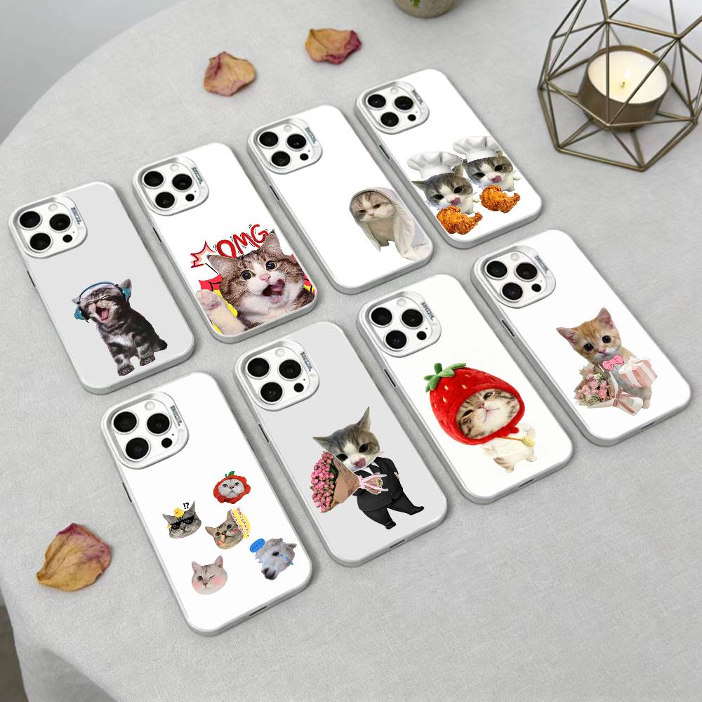 Goofy Silly Cats Big Eyes Phone Case For iPhone17, 16,15,14,13,12 Pro Max Black Candy Matte Shockproof Cover