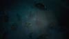 BELOW STEELBOOK EDITION North PS4 (Imported America) -