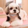 3 Pieces Bling Rhinestones Pet Collars Glitter Pendant Dog Collars Adjustable Crystal Cat Collar Elastic Pet Necklace for Small Pet Cat Dogs Puppy