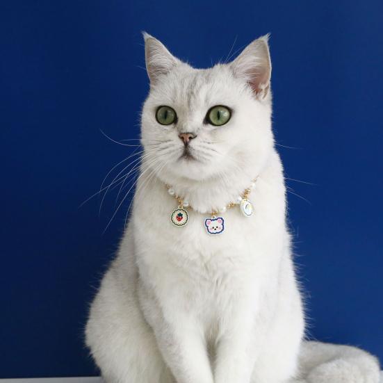 Haustierhalsband Verstellbares Karabinerverschluss-Design Allergiefrei mit Verlängerungskette Entzückendes Aussehen