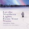 Let the Northern Lights Erase Your Name by Vendela Vida Paperback Book 9781843545835