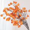 Plastic Artificial Lantern Fruits Realistic Simulation Flower  Wedding Decor
