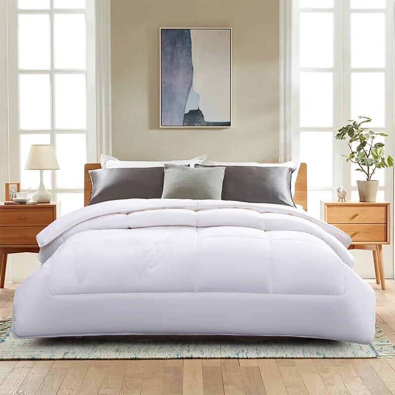 

Mercury Home Textiles All-Season Anti-Bacterial Cotton & Wool Quilt