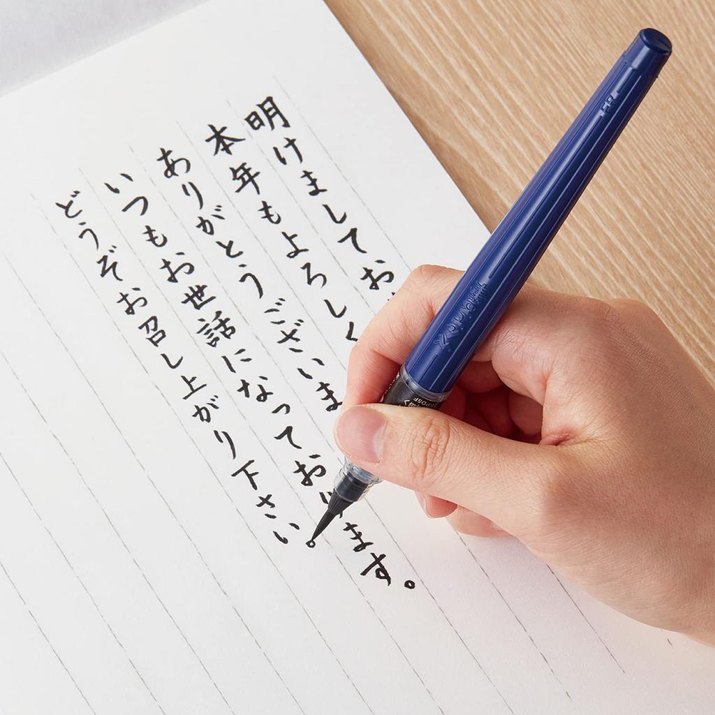 Pentel Brush Quick Extra 10 XFPD5F Pen, Drying, Fine, Pieces,