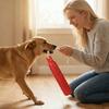 Interactive Rope Dog Toy Cotton Rope Chew Stick for Teething & Boredom Relief Essential for Dental Health & Anxiety Relief