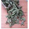 50g di tè alla menta fresca biologica, tisana alle erbe, foglie di menta secca, tè selvatico, riduce il fuoco del fegato