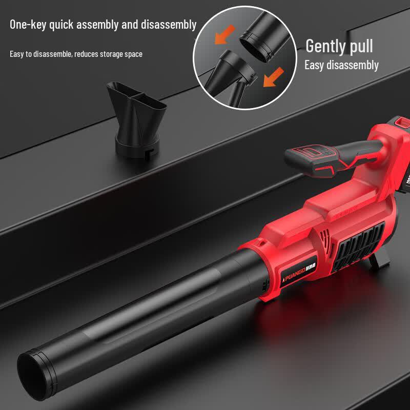 Pulangde High-Power Cordless Blower CN plug (adapter included)