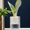 1/2Pcs Self Watering Pot with Drainage Holes Transparent Reservoir Indoor Outdoor Plants Planting Pot Herbs Succulents Flower Planter with Wick Rope