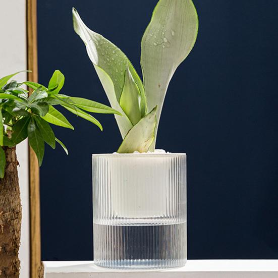 1/2Pcs Self Watering Pot with Drainage Holes Transparent Reservoir Indoor Outdoor Plants Planting Pot Herbs Succulents Flower Planter with Wick Rope