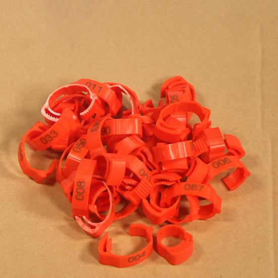 Yousheng 100Pcs Chicken Ring Adjustable Buckle Design Easy-assembled Duck Chicken Foot Ring for Marking
