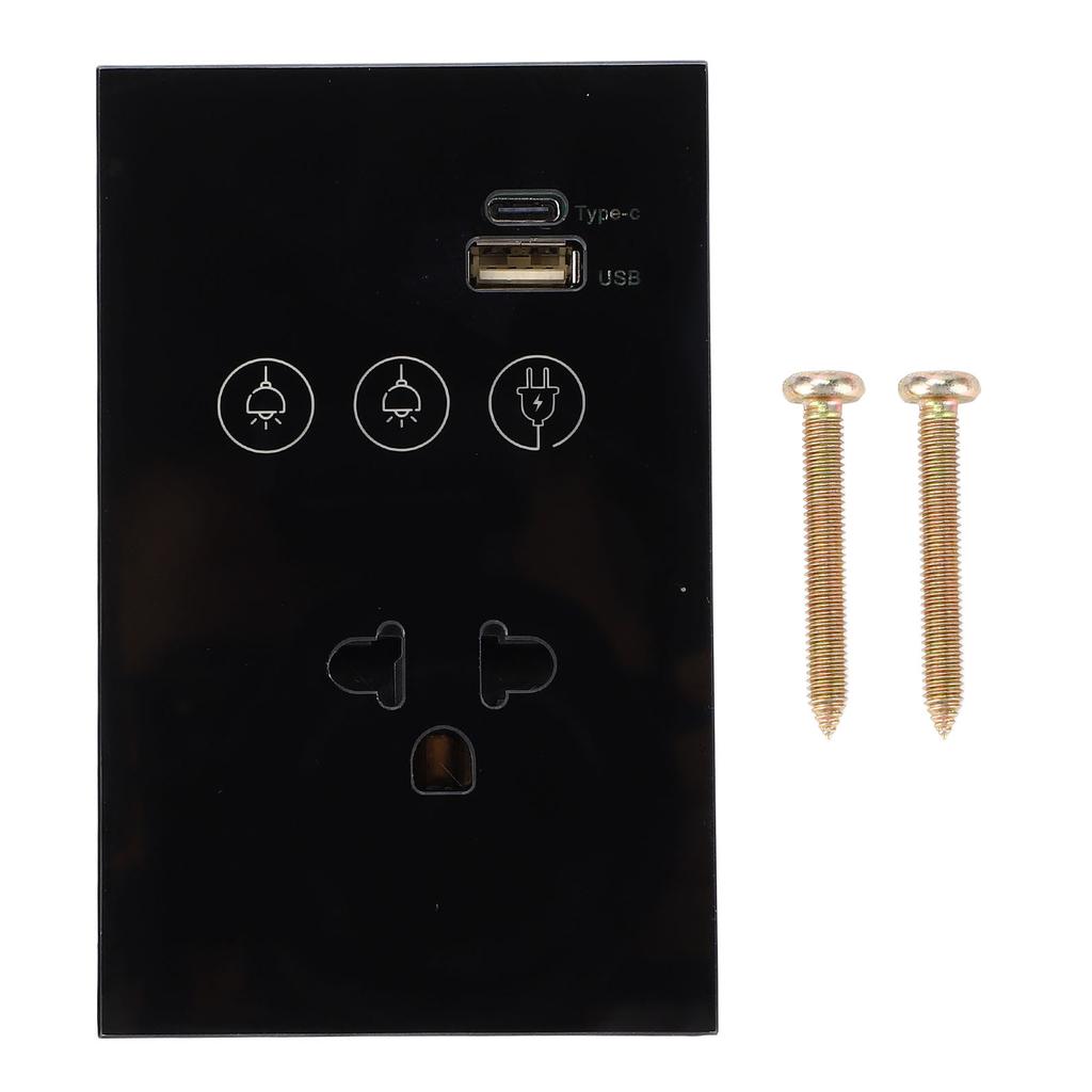 Smart Wall Outlet 2,4G WiFi Touch Lichtschalter Sprachfernbedienung Smart Plug mit USB und Typ C