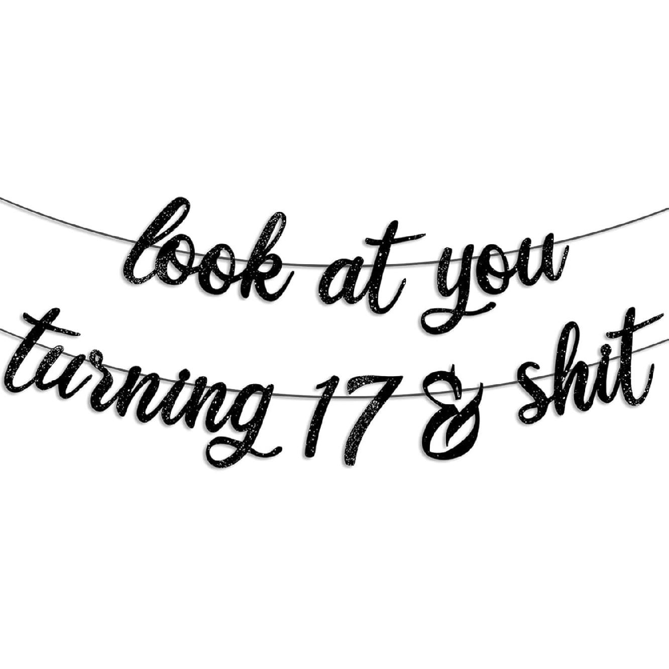 Pre-Strung 17th Birthday Banner Black Glitter 17th Birthday Party Decorations Boy Girls 17th Birthday Sign Gifts for Him Her look at you turning 17