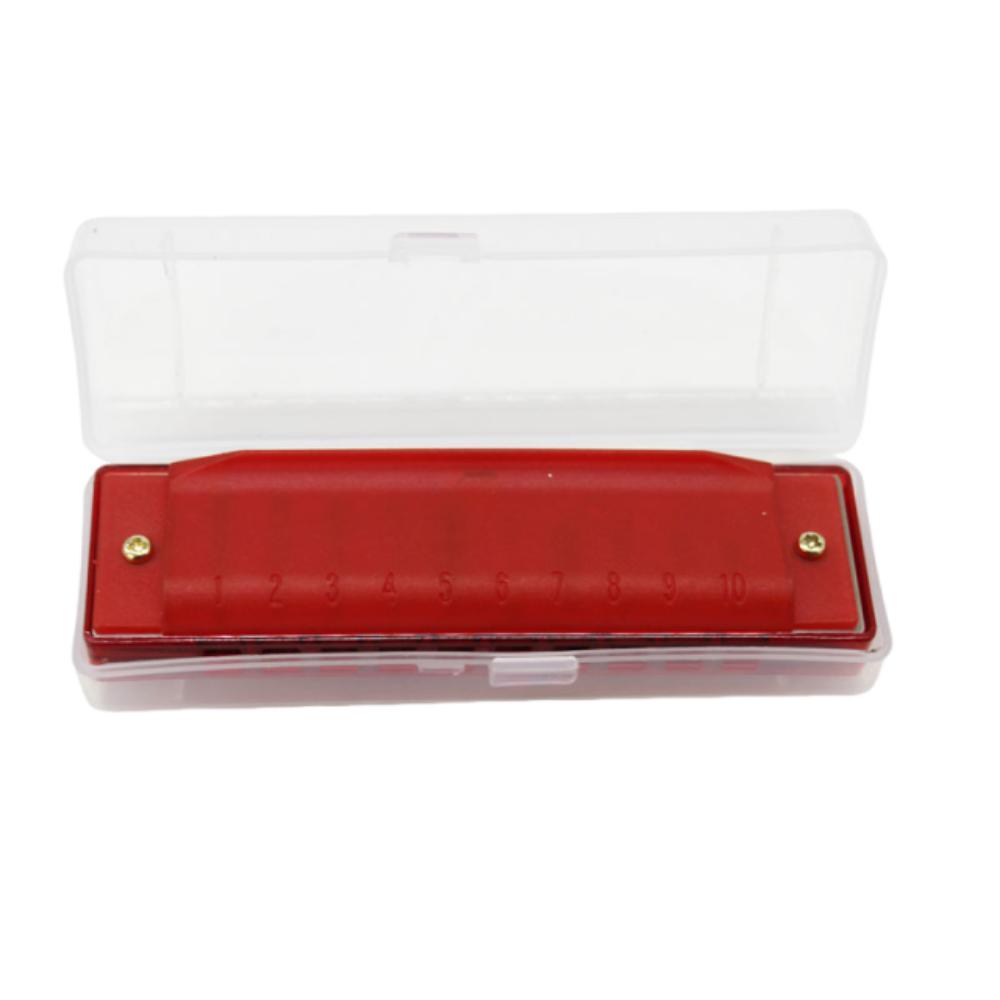 Bright Color 10 Hole Harmonica Translucent Mouth Organ Diatonic Harmonica  Young Learners