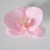 5pcs Simulated Film Butterfly Orchid Flower Head Petals Flower Accessories Headwear Hairclip Handmade Wedding Gift Decoration