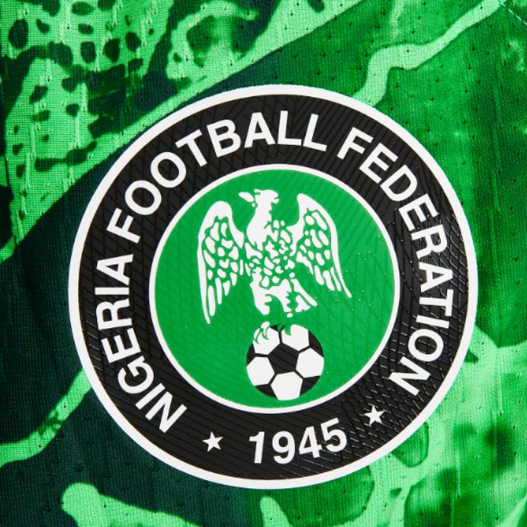Nike Nigeria 2022/23 Match Home Jersey Green Spark/Pine Green/White Men Streetwear DN0631-329