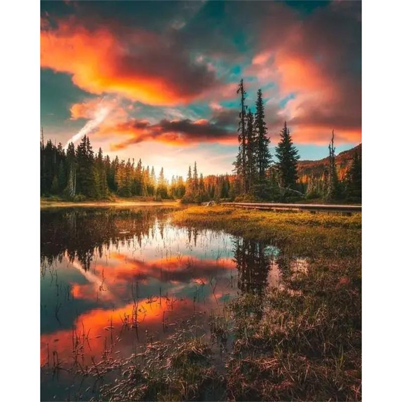 

DIY Алмазная картина Яркая Луна Набор для вышивки крестом Мозаика Искусство Алмазная картина Полный круг/Квадратный алмаз Украшение дома Square 20x30cm