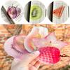 Delicate Transparent Acrylic Apple Bookmark Reading Mark Student Gift Premium Feeling Cute Grape Tomato Bookmarks