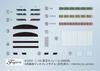 Fujimi Models 1/150 Structure Kit Series No. 14 EX-1 Tokyo Monorail 10000 Series 6-Car Train (Unpainted Kit) STR-14 EX-1