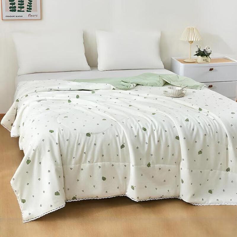 

Louis Carol Cloud Soft Soybean Fiber Quilt