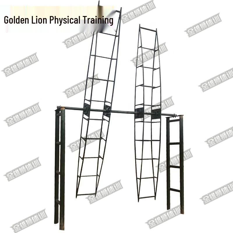 Golden Lion Fitness Training Equipment