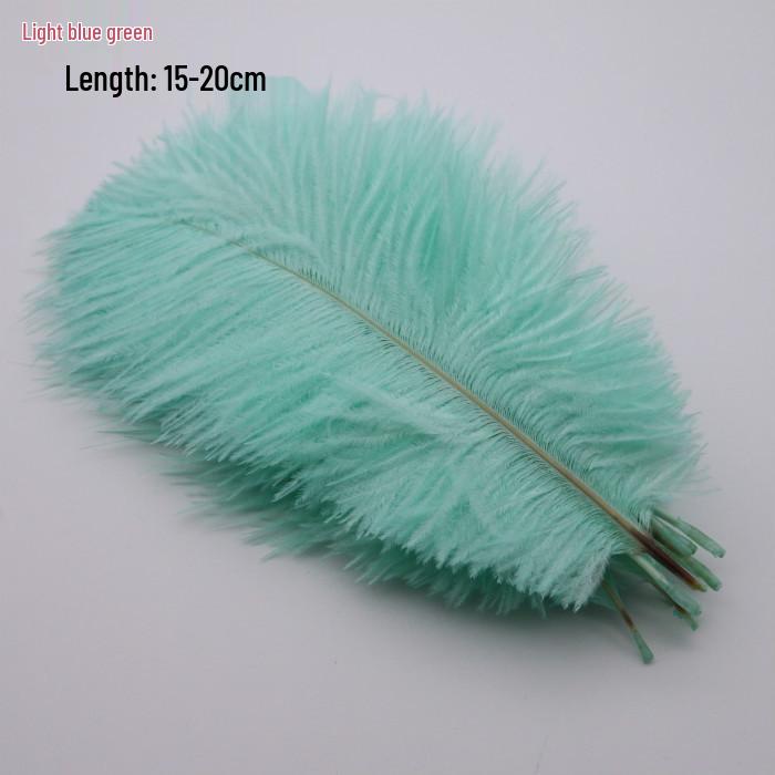 Large 15-20cm Ostrich Feathers for Wedding Arrangements and Stage Props