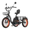 Triciclo Elétrico de Carga Cheevalry CF750 Motor de 750W Bateria de 48V20AH Pneus de Carga de 20 Polegadas Carga de 130KG Velocidade de 25KM/H E-Bike Dobrável Para Adulto