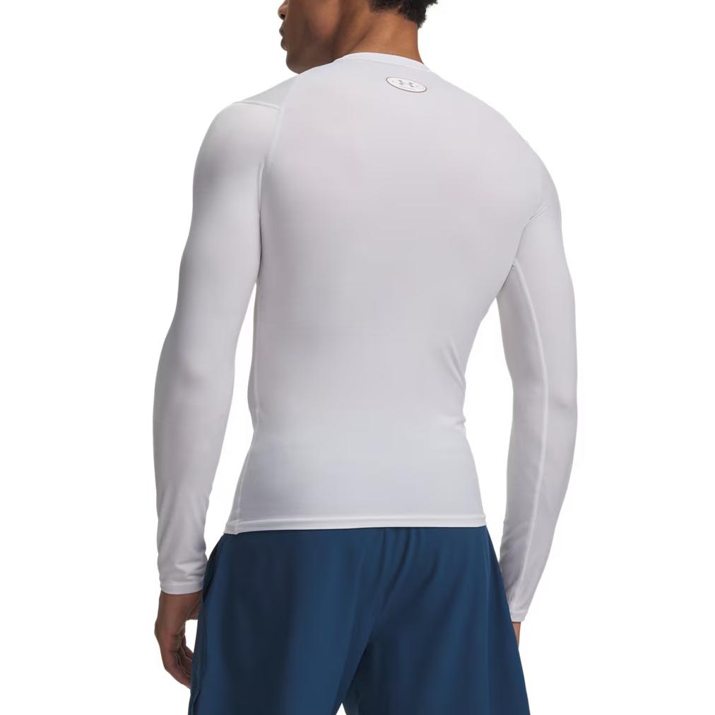 Under Armour Solid Logo Long Sleeve Crew Neck T-Shirt Men tops 6015384-100