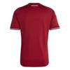 Adidas Soccer Jerseys Men's Victory Team Red Moderate JZ6975
