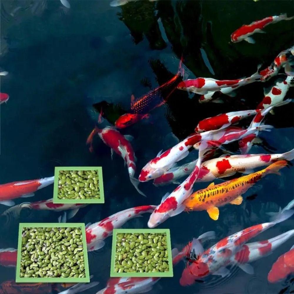 5/10Pcs Round/Square Fish Feeding Ring Black/Green/Blue Floating Plant Holder Pet Supplies