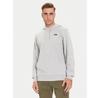 Helly Hansen Core Graphic Hoodie